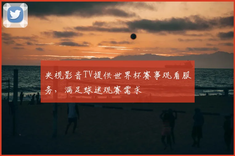 央视影音TV提供世界杯赛事观看服务，满足球迷观赛需求