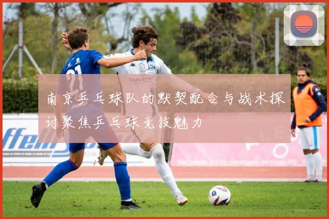 南京乒乓球队的默契配合与战术探讨聚焦乒乓球竞技魅力