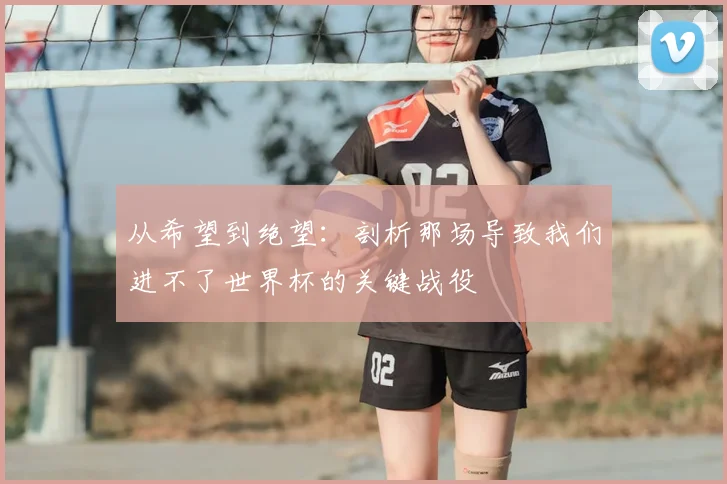 从希望到绝望：剖析那场导致我们进不了世界杯的关键战役
