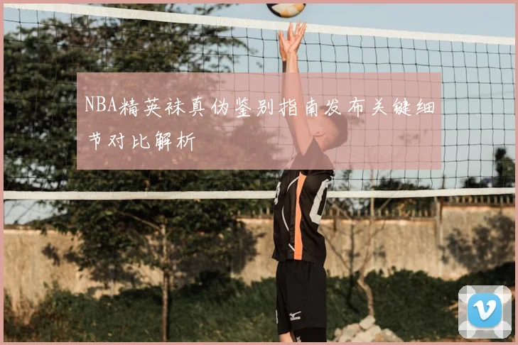 NBA精英袜真伪鉴别指南发布关键细节对比解析