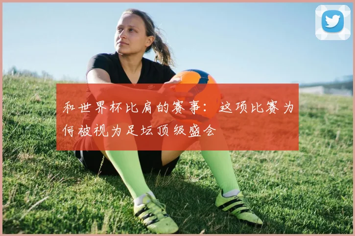 和世界杯比肩的赛事：这项比赛为何被视为足坛顶级盛会