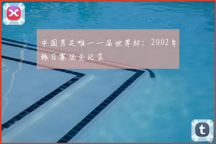 中国男足唯一一届世界杯：2002年韩日赛场全记录