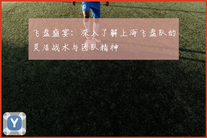 飞盘盛宴：深入了解上海飞盘队的灵活战术与团队精神