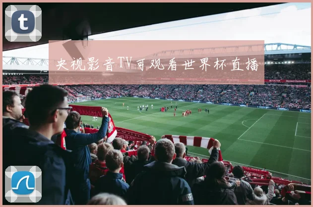 央视影音TV可观看世界杯直播