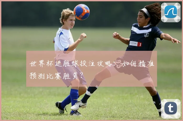 世界杯进胜球投注攻略：如何精准预测比赛胜负？