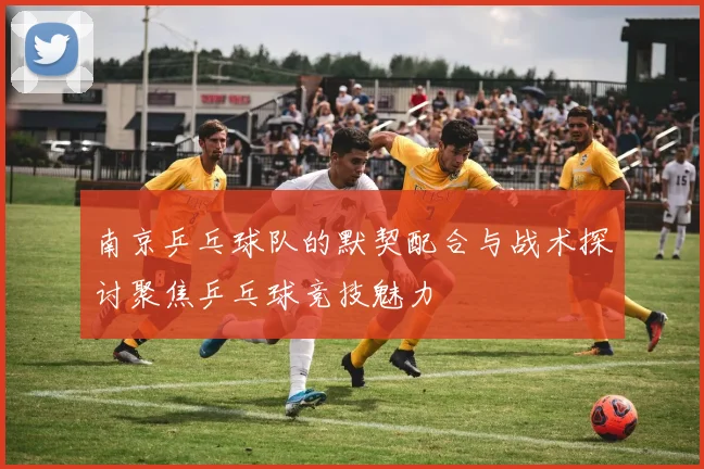 南京乒乓球队的默契配合与战术探讨聚焦乒乓球竞技魅力