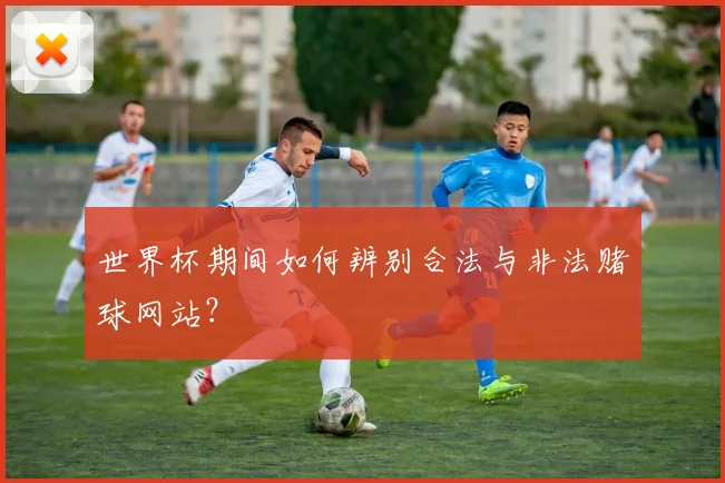 世界杯期间如何辨别合法与非法赌球网站？