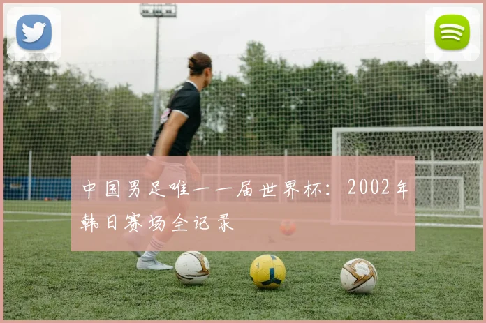 中国男足唯一一届世界杯：2002年韩日赛场全记录