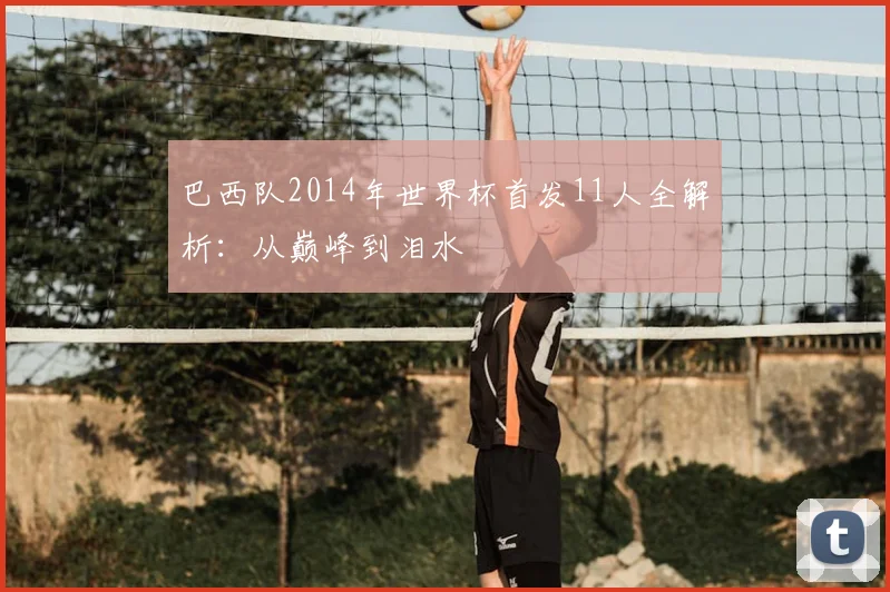 巴西队2014年世界杯首发11人全解析：从巅峰到泪水