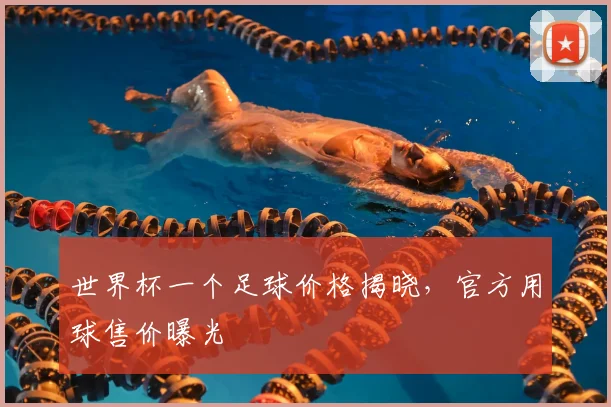 世界杯一个足球价格揭晓，官方用球售价曝光