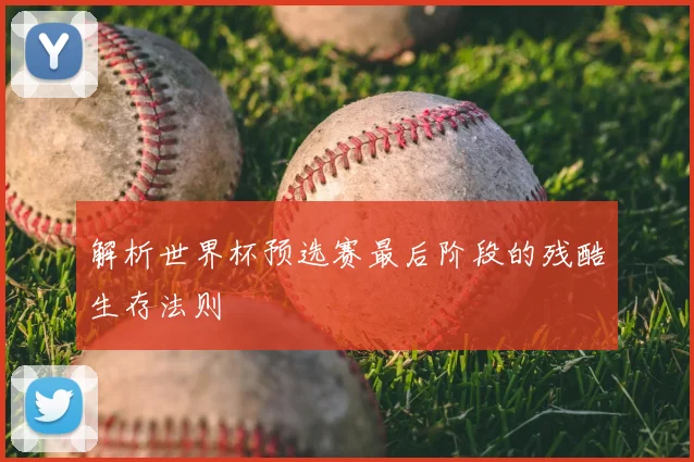 解析世界杯预选赛最后阶段的残酷生存法则