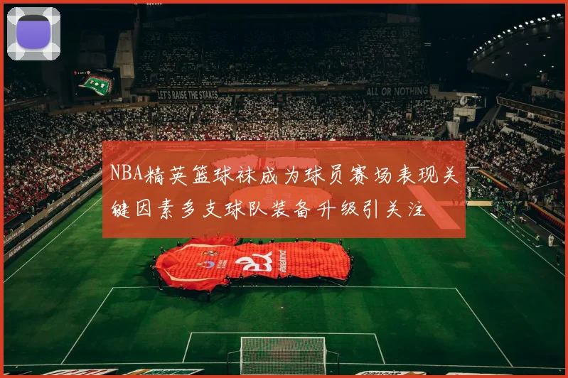 NBA精英篮球袜成为球员赛场表现关键因素多支球队装备升级引关注