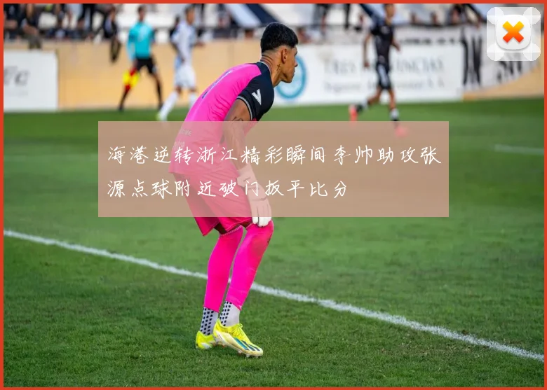 海港逆转浙江精彩瞬间李帅助攻张源点球附近破门扳平比分