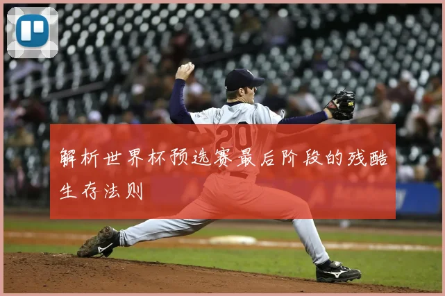 解析世界杯预选赛最后阶段的残酷生存法则