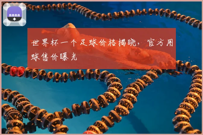 世界杯一个足球价格揭晓,官方用球售价曝光